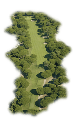 pinhal-course-hole6